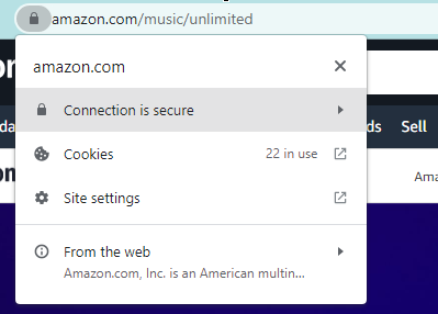 Click the secure connection icon in your browser’s address bar to view certificate information