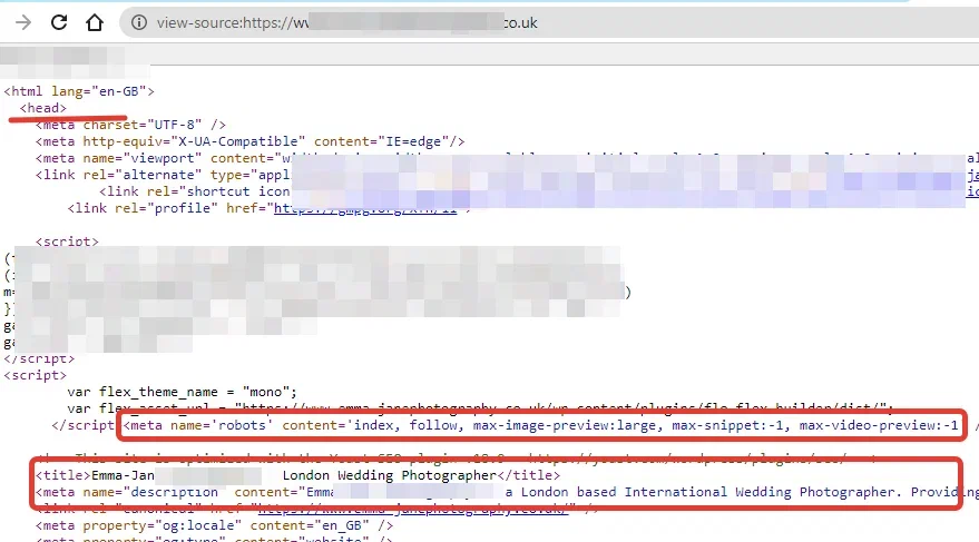 Metatags hidden in page code.